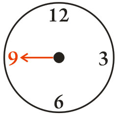 Aufguss stündlich 3/4