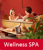 Wellness SPA